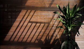 Persianas de bambu: uma opção sustentável e elegante para a decoração | Persianas Malucelli